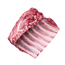 Rib