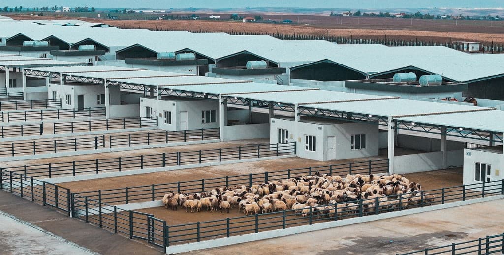Megal facility aerial view